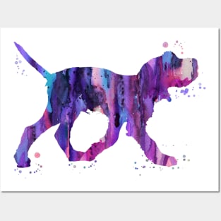Italian Spinone Posters and Art